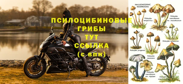 spice Абинск